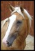 DSC00371.jpg